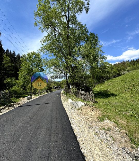 video image
