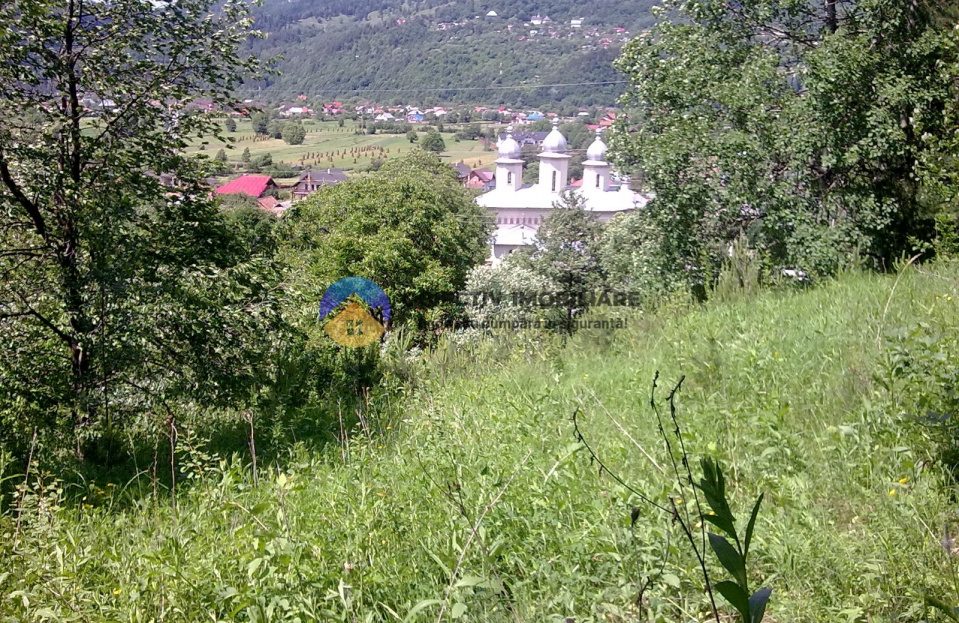 video image