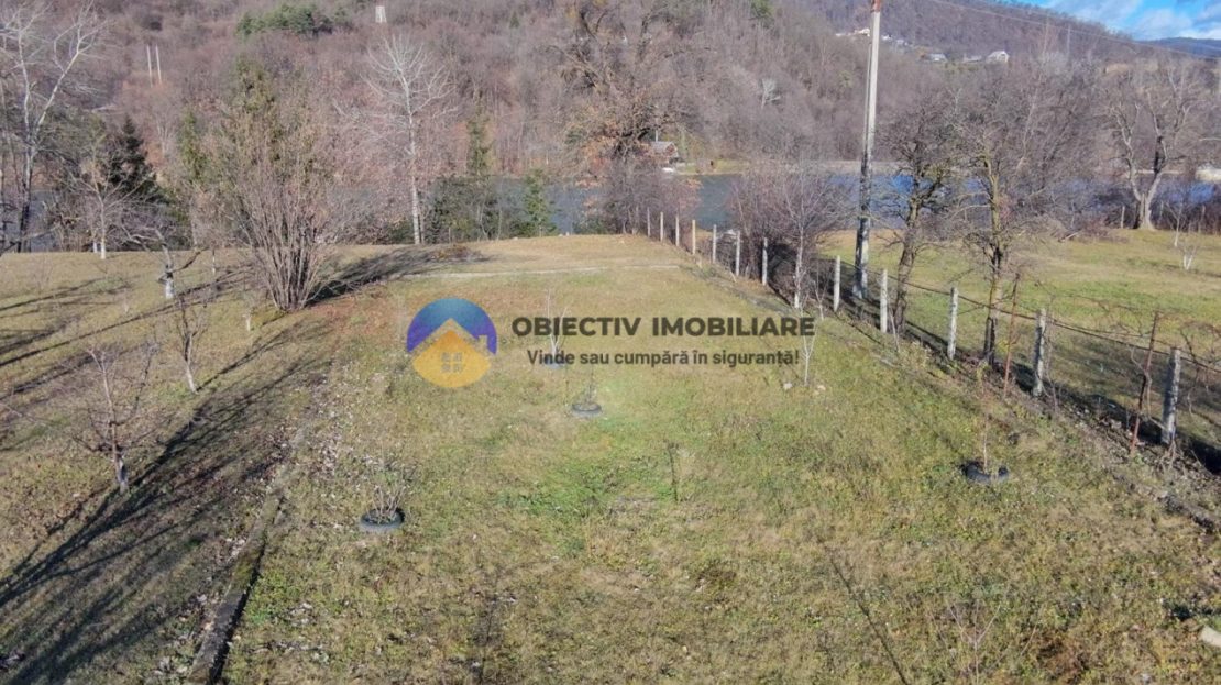 video image