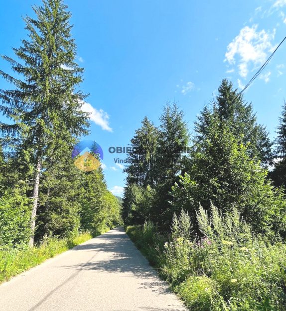 video image