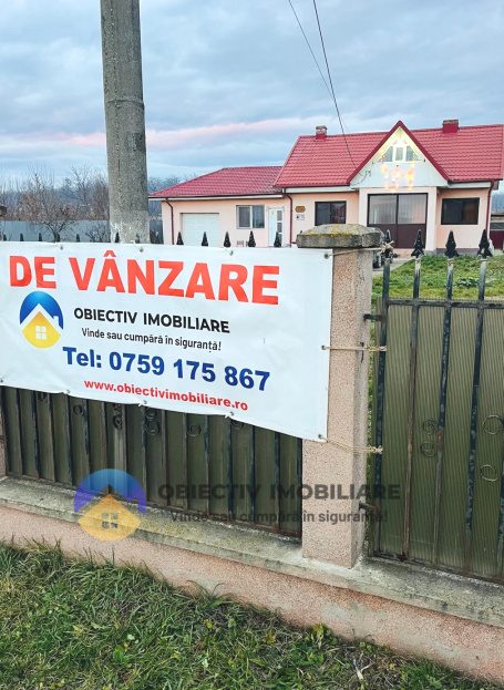 video image