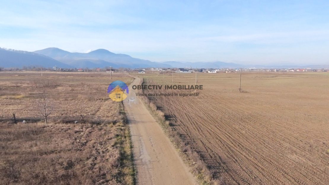 video image