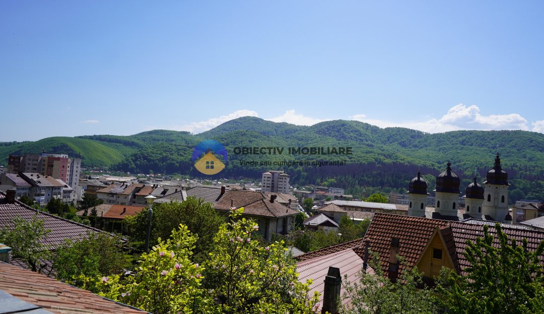 video image