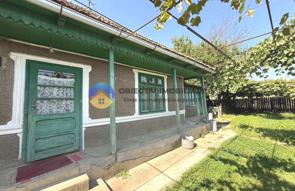 video image