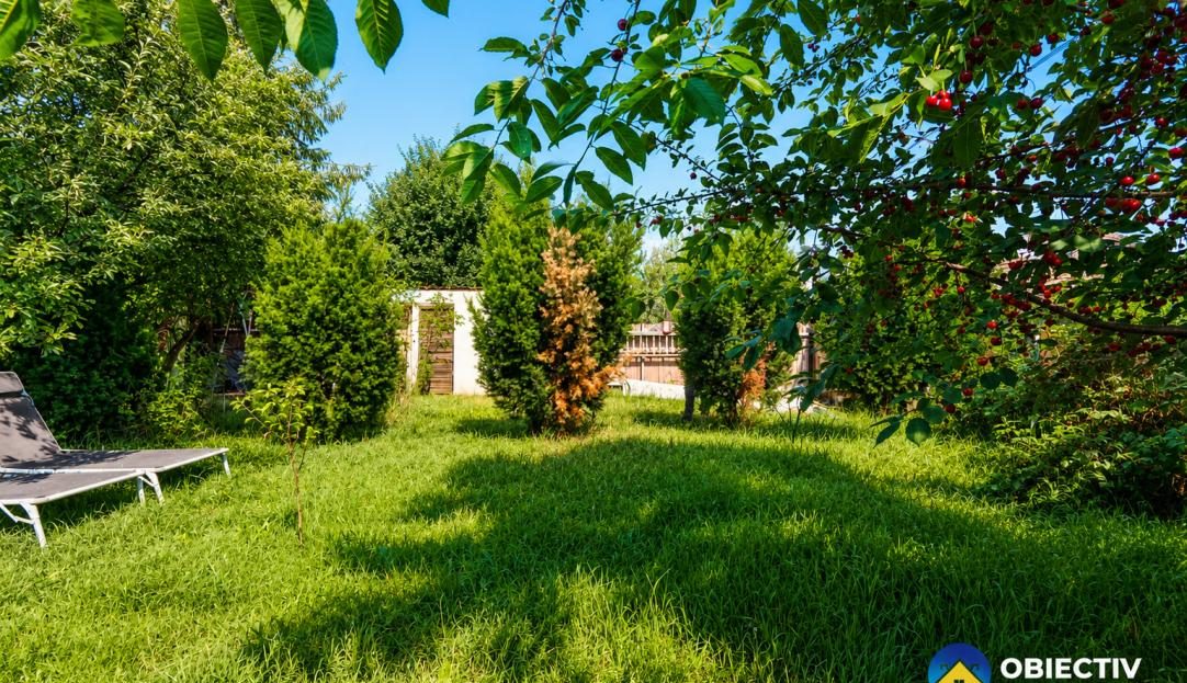 video image