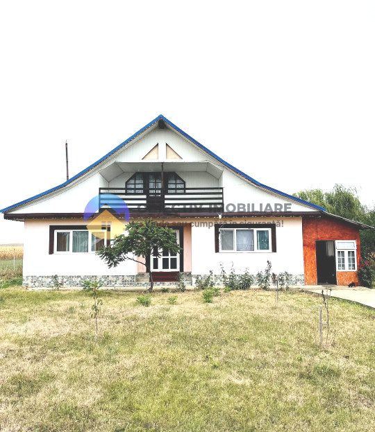 video image