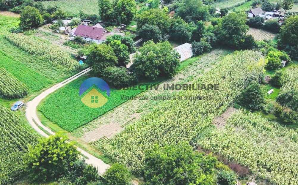 video image