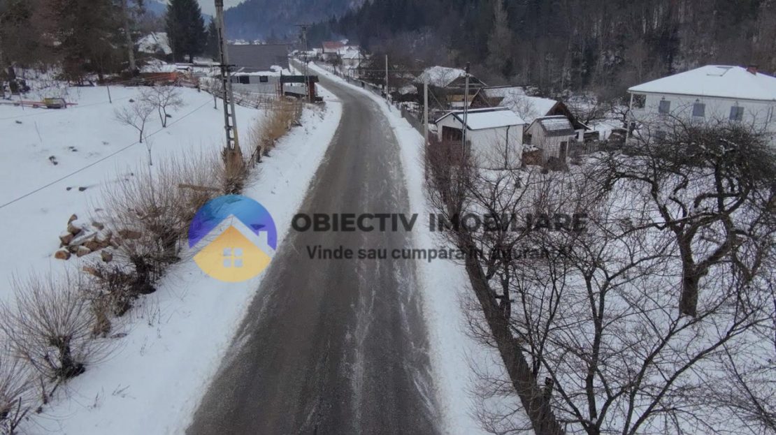 video image