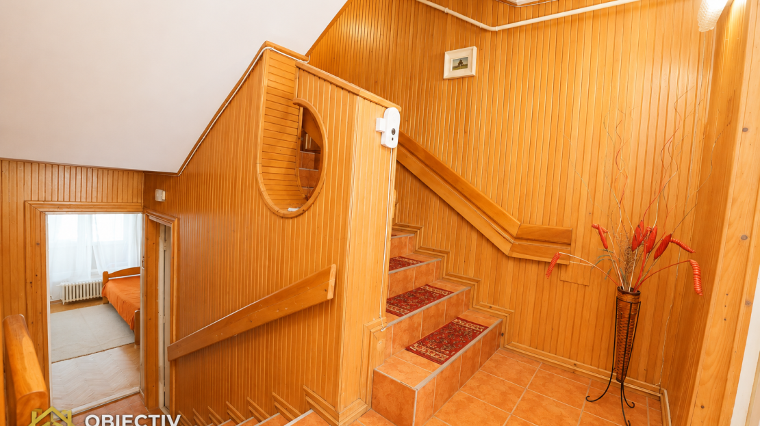 video image